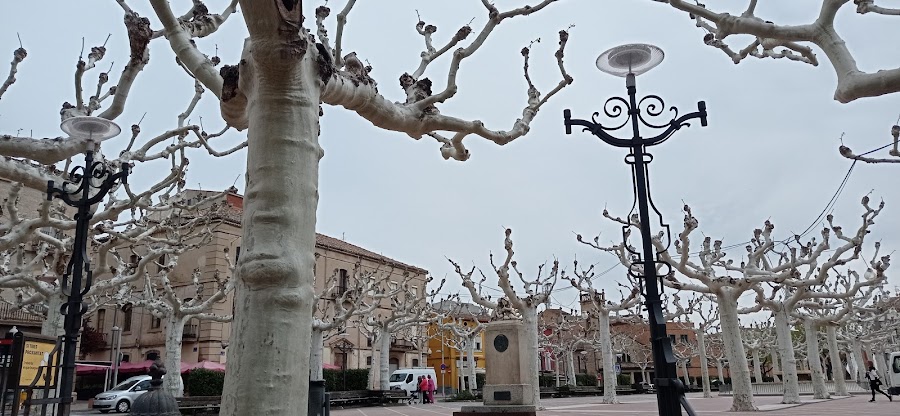 Mercado semanal de Tàrrega