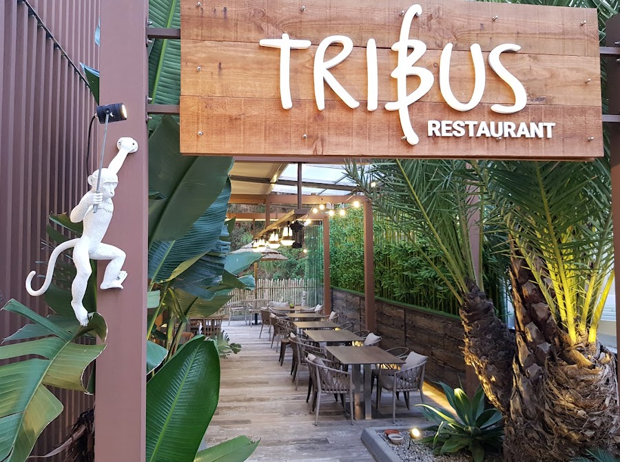 Restaurant Tribus by Casa Coco
